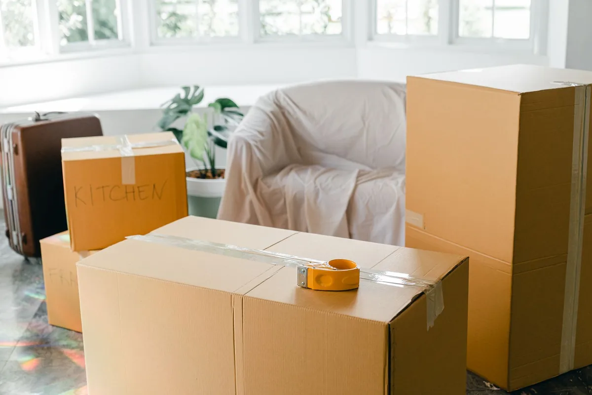 Hoarding Cleanup in Meadowlawn, St. Petersburg, FL